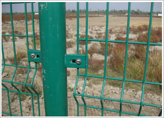 p߅zoھW(wng)